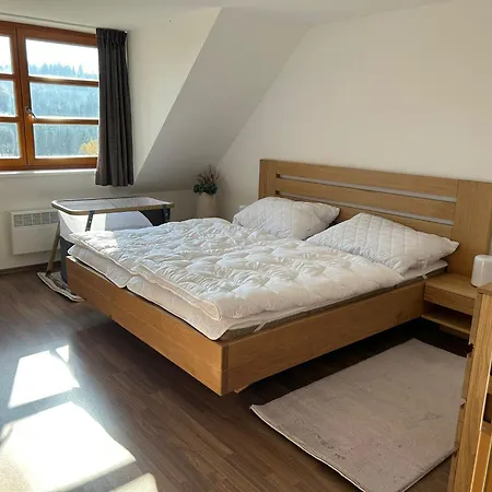 Horsky U Lesa Apartment Ricky (Hradec Kralove)